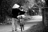 Có Một Tình Yêu Không Thể Nghi Ngờ