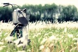 Đừng Làm Cô Gái Của Anh Bị Tổn Thương