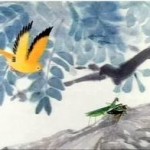 BỌ NGỰA BẮT VE SẦU, CHIM SẺ RÌNH SAU LƯNG