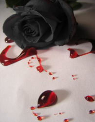 Roseblood
